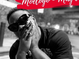 Moelogo – Magic