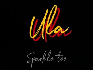 Sparkle Tee – Ula