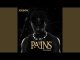 Iceboii – Pains